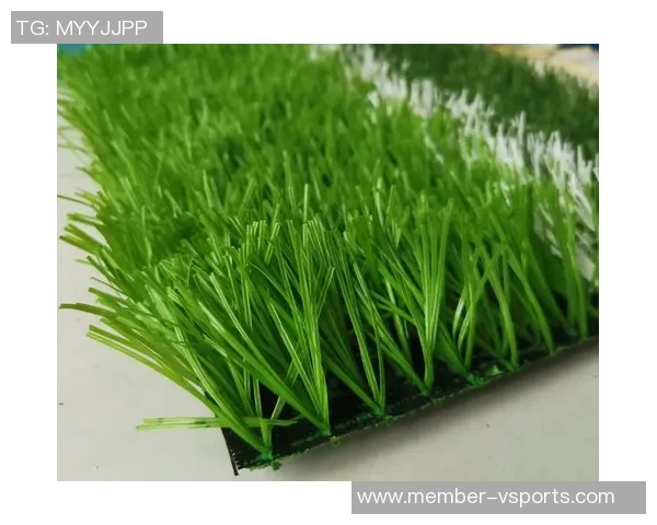 足球场草坪选择的最佳指南与注意事项全解析